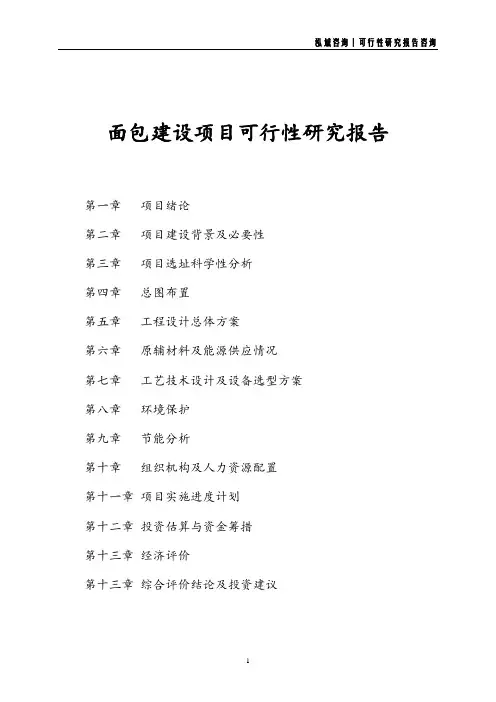 面包建设项目可行性研究报告