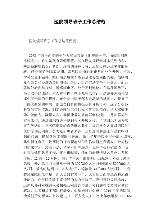 医院领导班子工作总结范