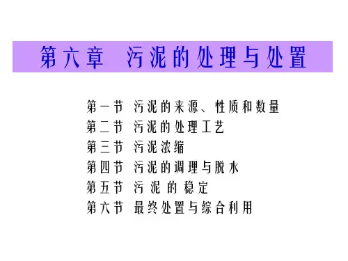 第六章 污泥处理与处置ppt
