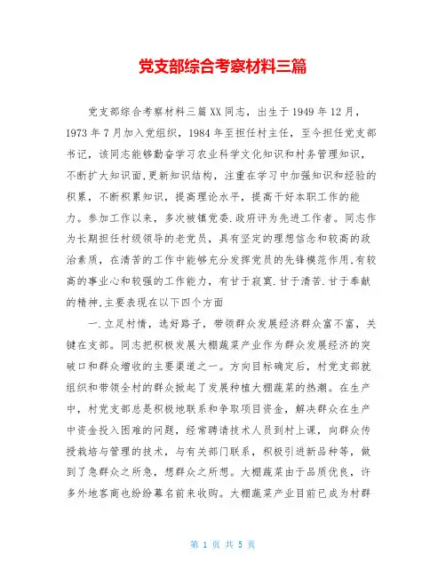 党支部综合考察材料三篇