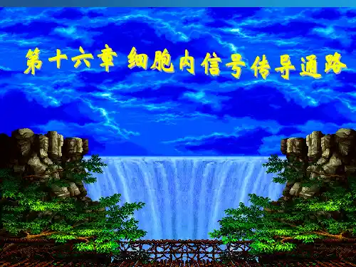 细胞内信号传导通路(182页)