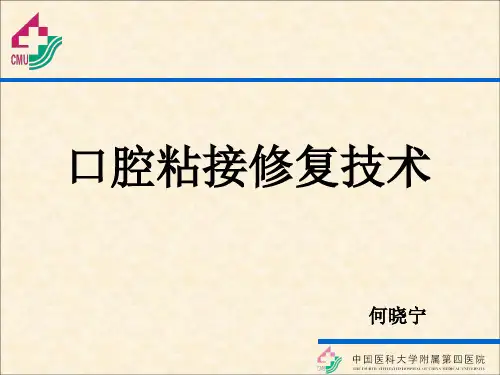 口腔粘接