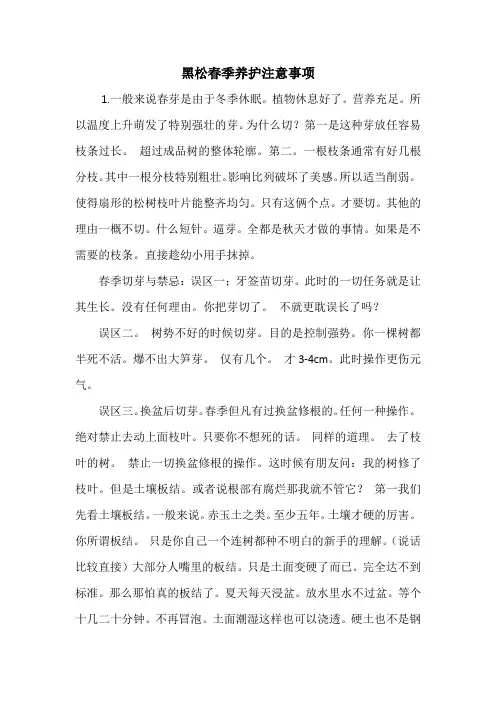 黑松春季养护知识及切芽注意事项