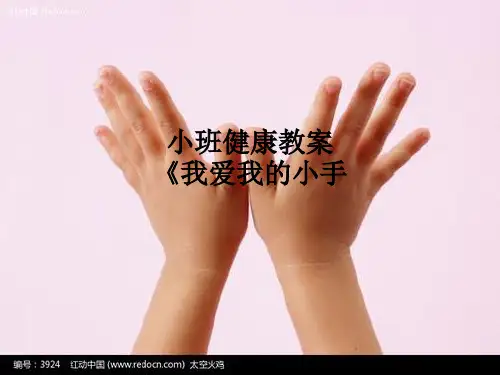 小班健康教案《我爱我的小手PPT课件