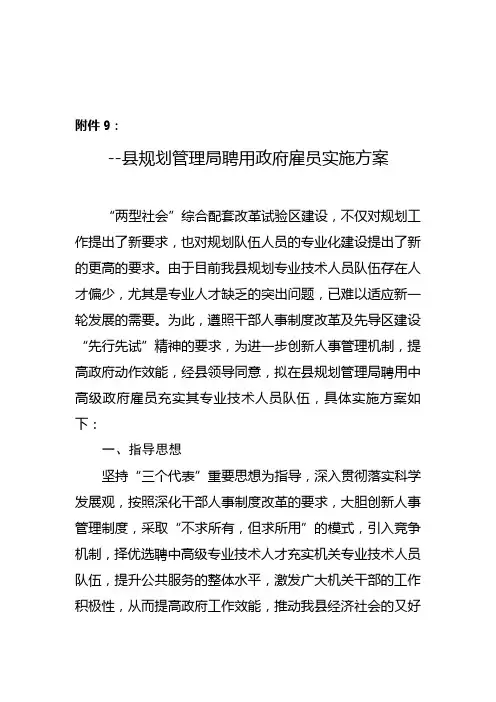 聘用政府雇员实施方案