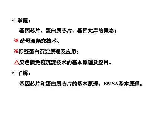 DNA重组及重组DNA技术(一)