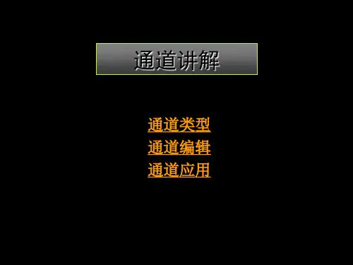 第5讲通道2009