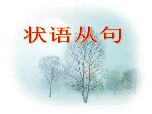 一般可分为八大类分别表示时间地点原因目的结果条件.ppt
