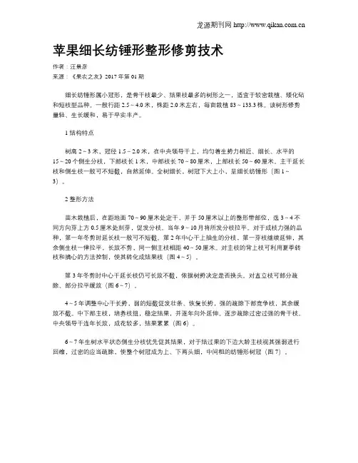 苹果细长纺锤形整形修剪技术