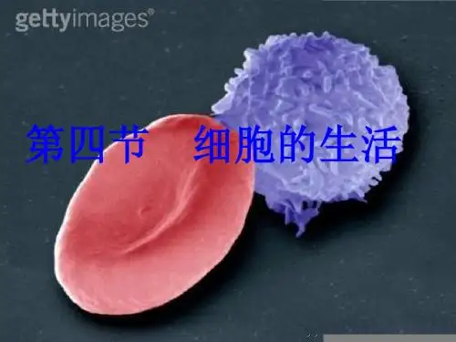 七年级生物上册第四节  细胞的生活