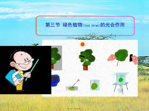七年级生物上册第一章第三节绿色植物的光合作用