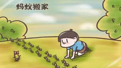 大自然的语言