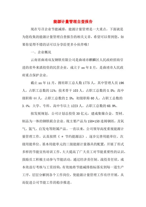 能源计量管理自查报告