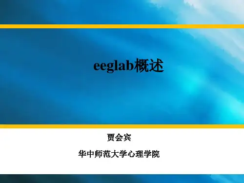 eeglab概述