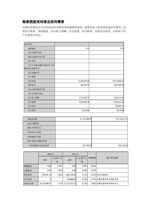 绿景控股财务分析