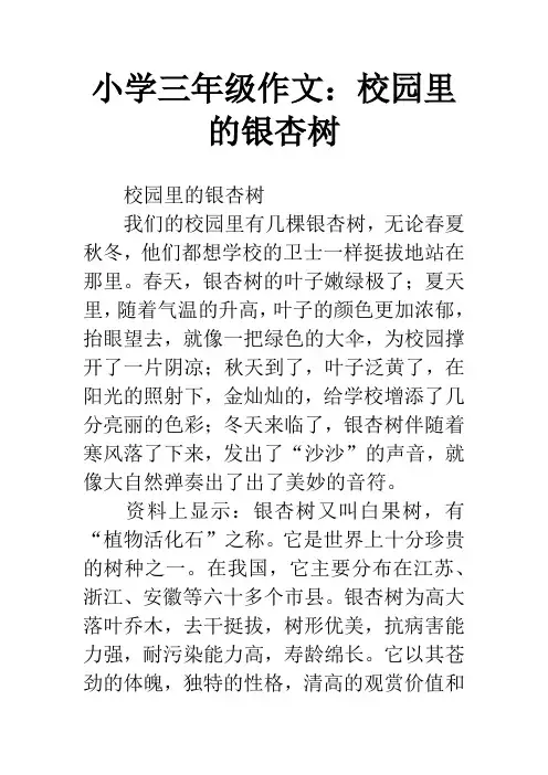 小学三年级作文：校园里的银杏树