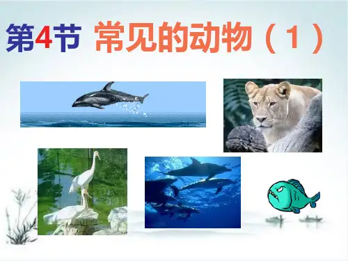 浙教版七年级科学上册2.4常见的动物第一课时[1]