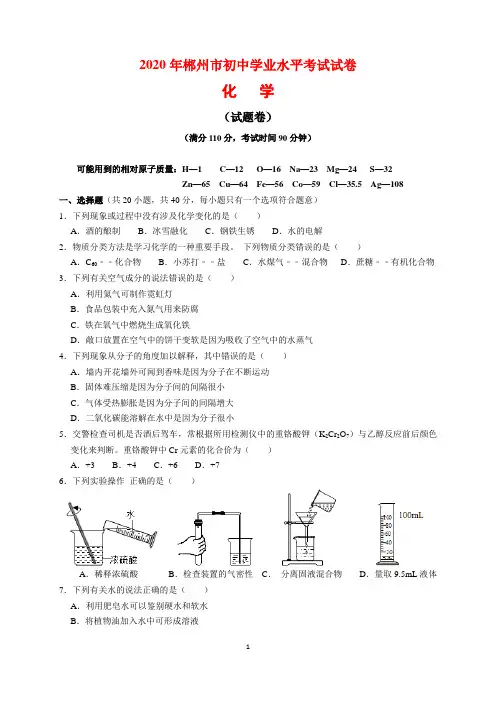 2020年湖南省郴州市中考化学试题及参考答案(word解析版)