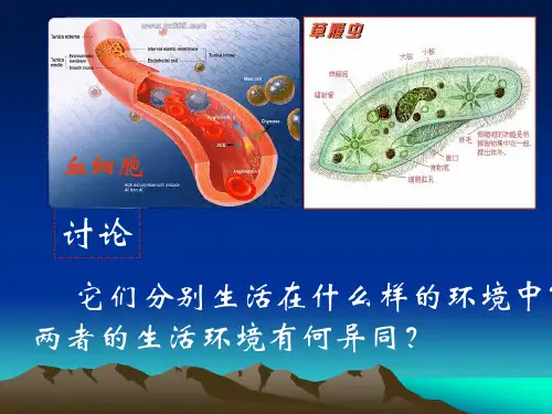 第一节  人体的稳态