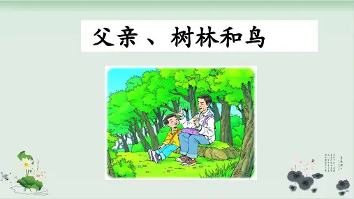 新部编版《父亲、树林和鸟》实用PPT1