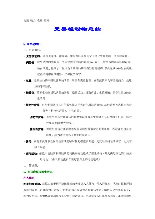 全国中学生生物竞赛名词解释-14无脊椎动物总结