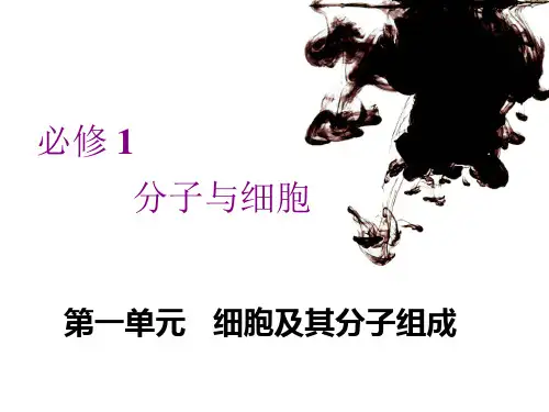 2022年高考生物一轮复习 走近细胞