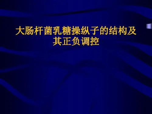 乳糖操纵子