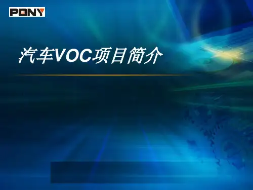 汽车VOC检测