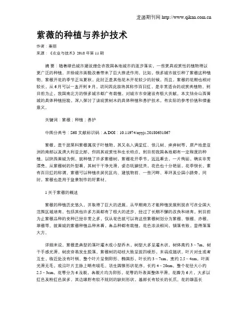紫薇的种植与养护技术
