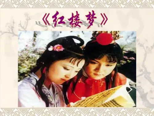 红楼梦资料