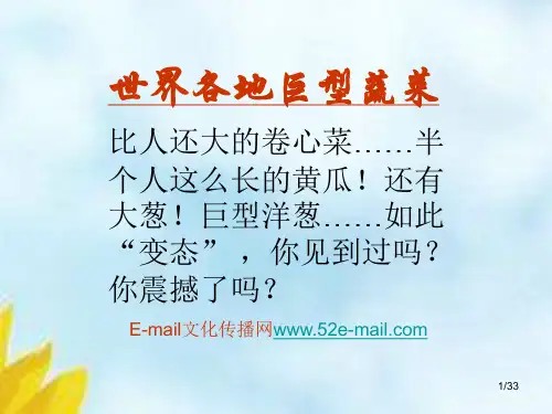 世界各地巨型蔬菜