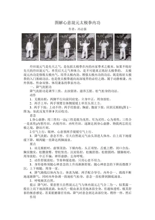 图解心意溷元太极拳内功(冯志强)