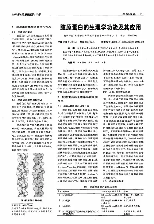 胶原蛋白的生理学功能及应用