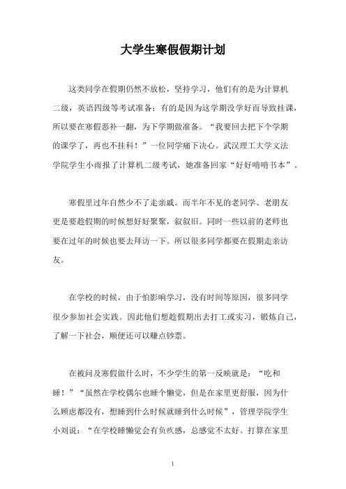大学生寒假假期计划