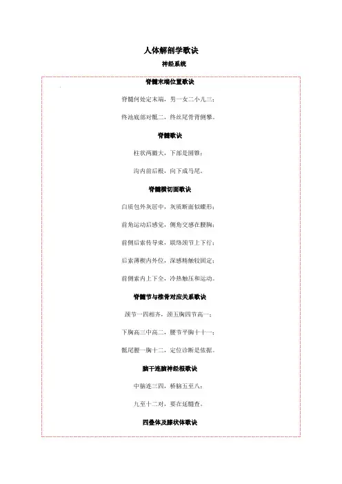 人体解剖学歌诀 神经系统