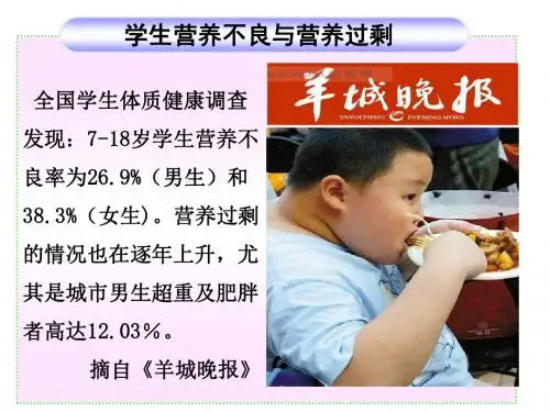 合理膳食和食品安全