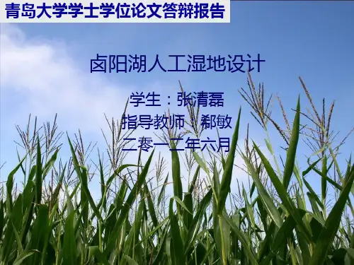 人工湿地设计——以
