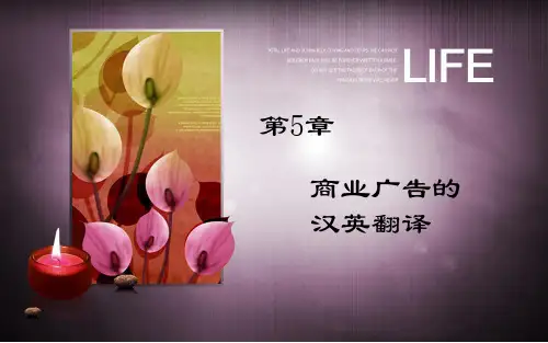 商务英语翻译 第5章 商务广告翻译
