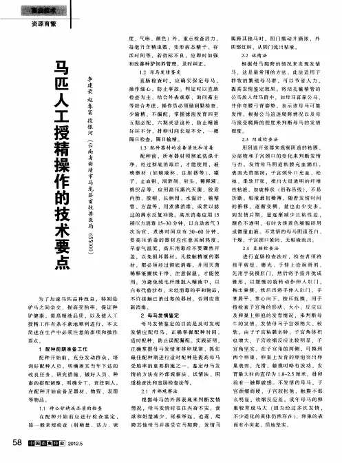 马匹人工授精操作的技术要点