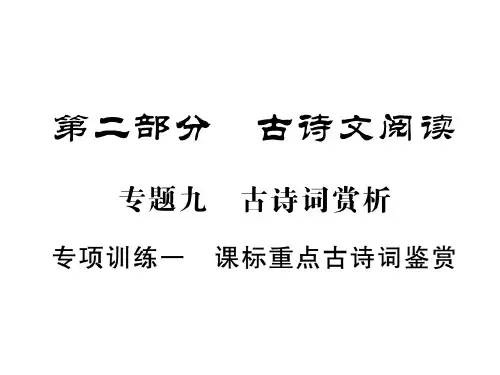 中考语文复习古诗文阅读专题十文言文阅读专项训练一课标重点古诗词鉴赏课件