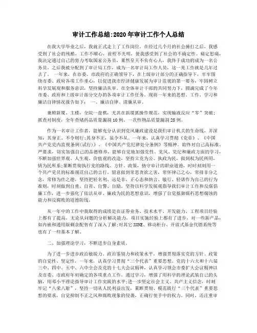 审计工作总结2020年审计工作个人总结