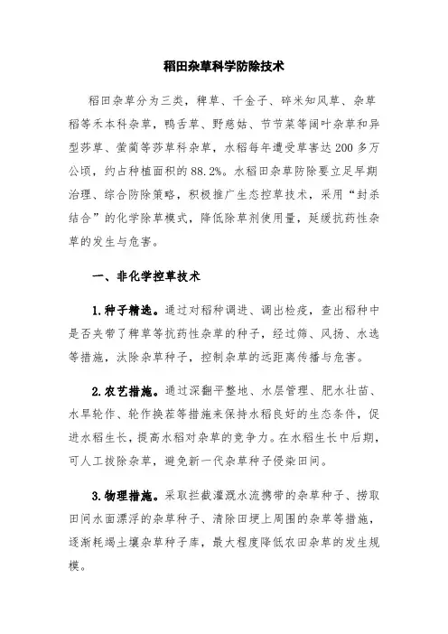 稻田杂草科学防除技术