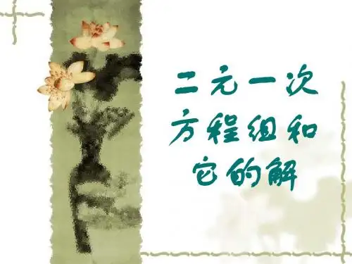 5、二元一次方程组和它的解
