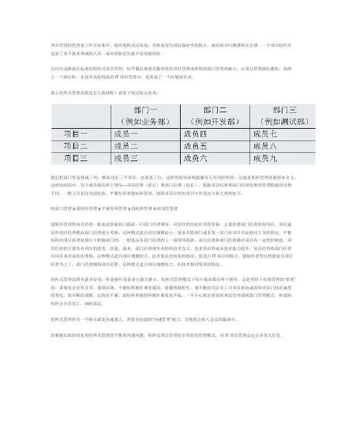 矩阵式IT项目管理