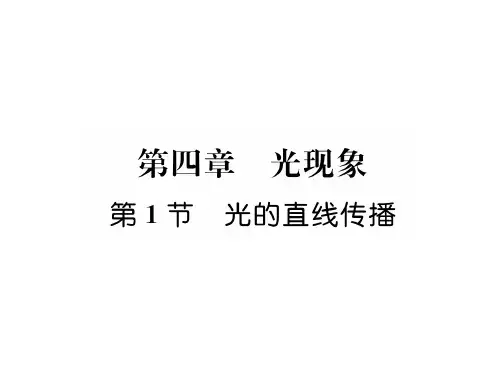 人教版八年级物理上册(毕节专版)习题课件:第四章第1节 光的直线传播