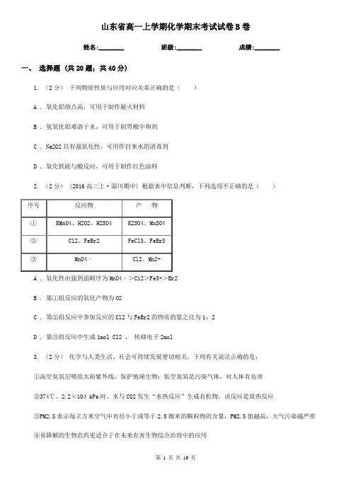 山东省高一上学期化学期末考试试卷B卷(测试)