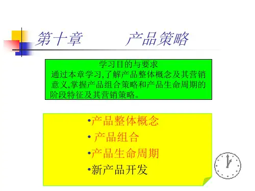 第十部分产品策略教学ppt课件