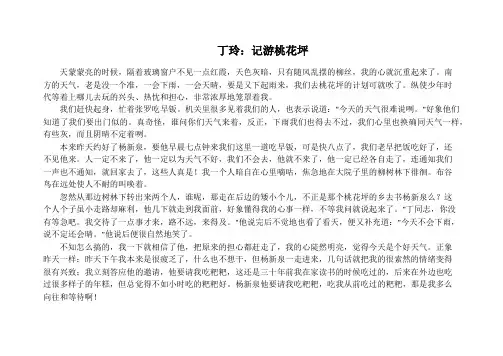 丁玲：记游桃花坪
