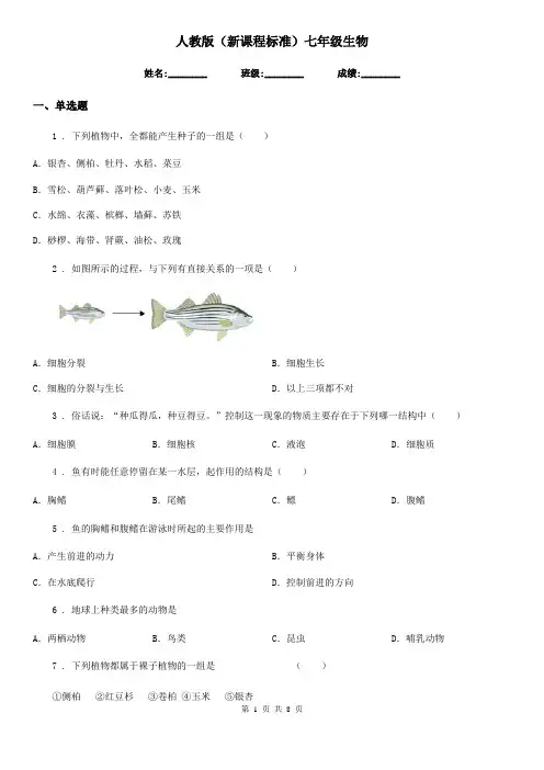 人教版(新课程标准)七年级生物