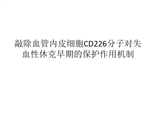 敲除血管内皮细胞CD226分子对失血性休克早期的保护作用机制